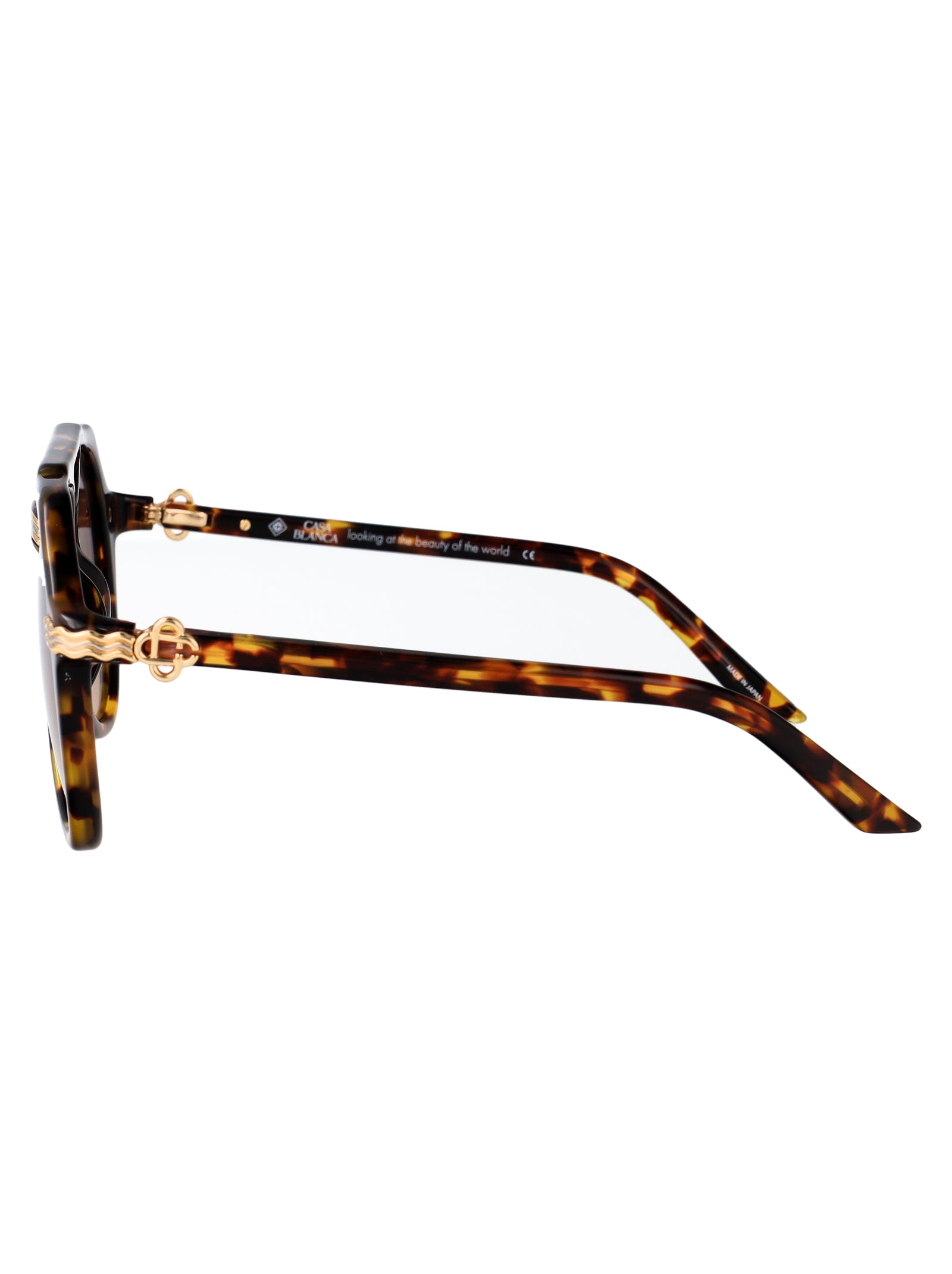 CASABLANCA Trendy Acetate Sunglasses
