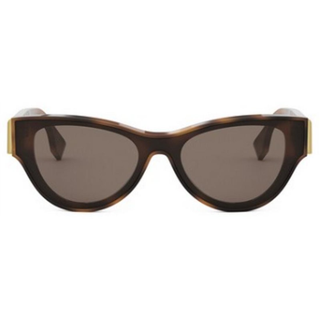 FENDI Chic Acetate Sunglasses for Women