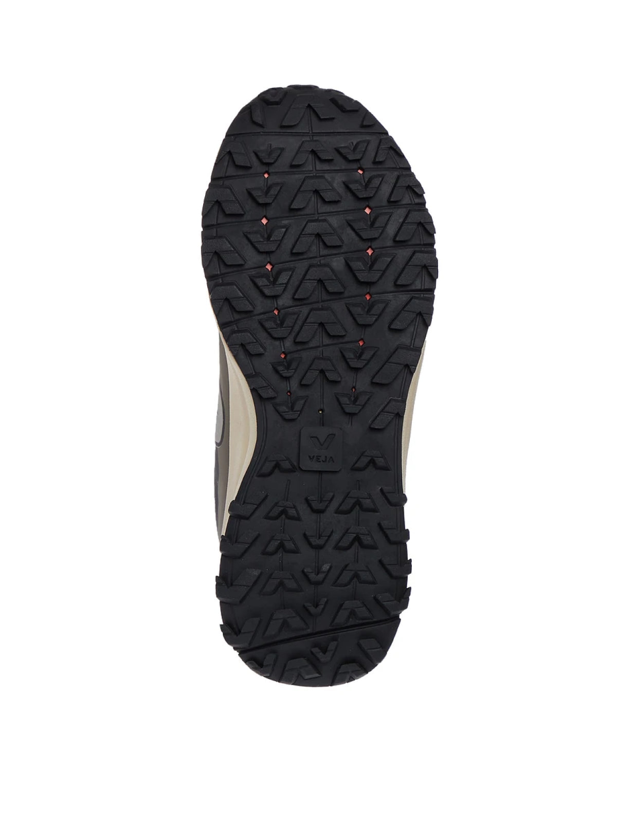 VEJA Fitz Roy Trek-Shell Sneaker for Women