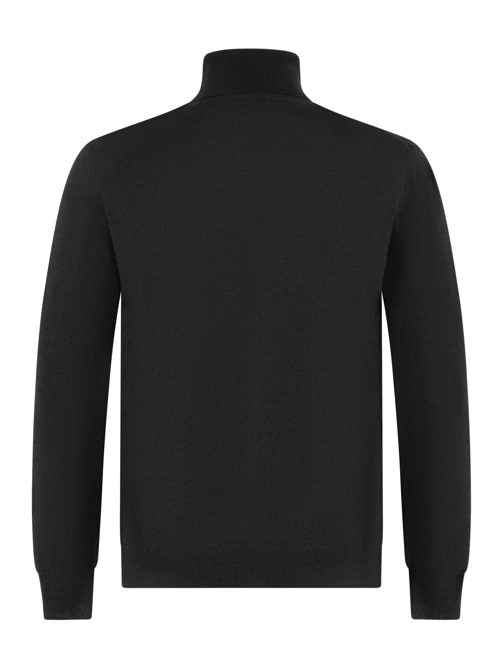 Franzese Collection Turtleneck Sweater - Regular Fit