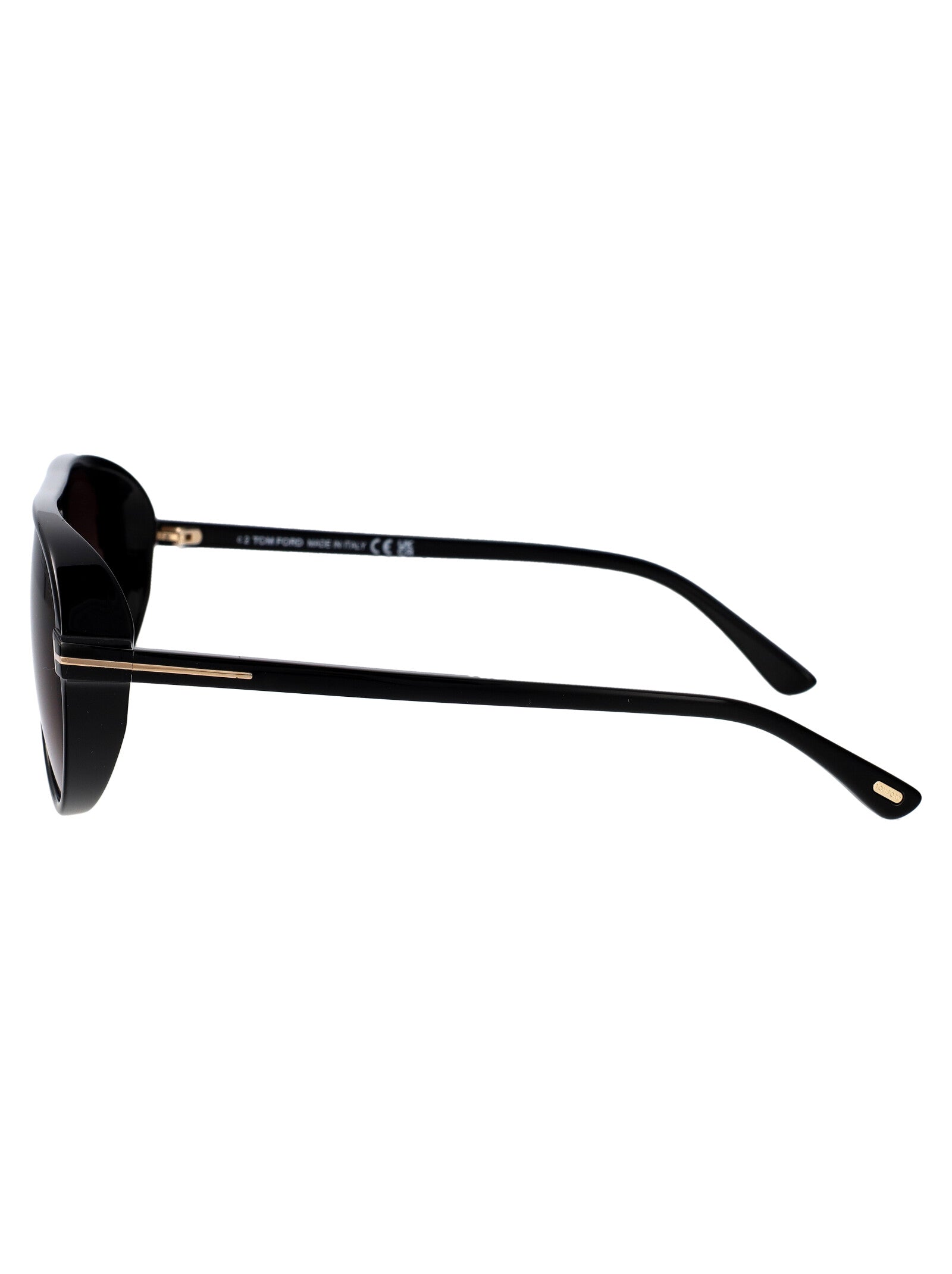 TOM FORD Chic Acetate Sunglasses for Women