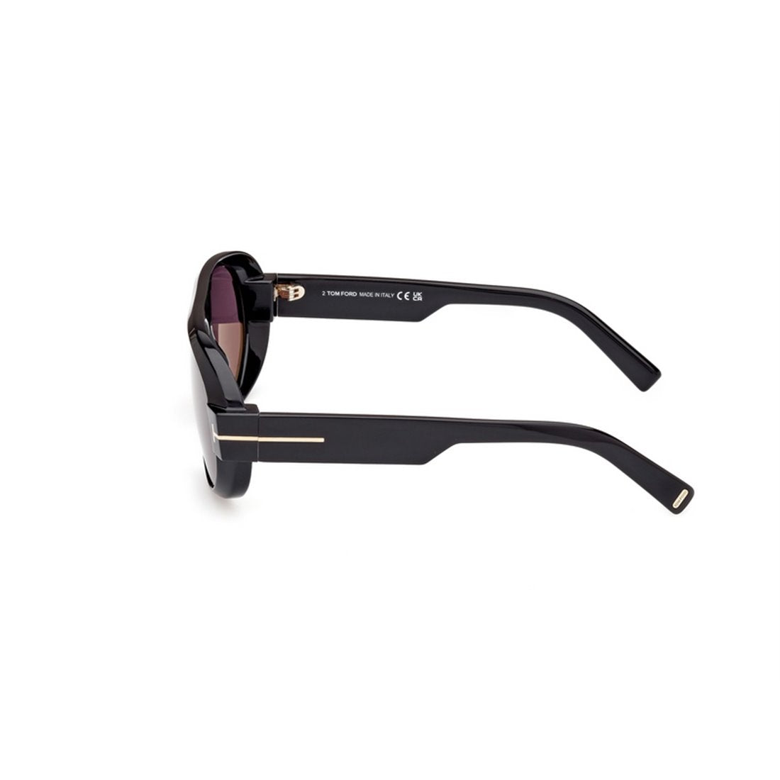 TOM FORD Chic Acetate Sunglasses for Women