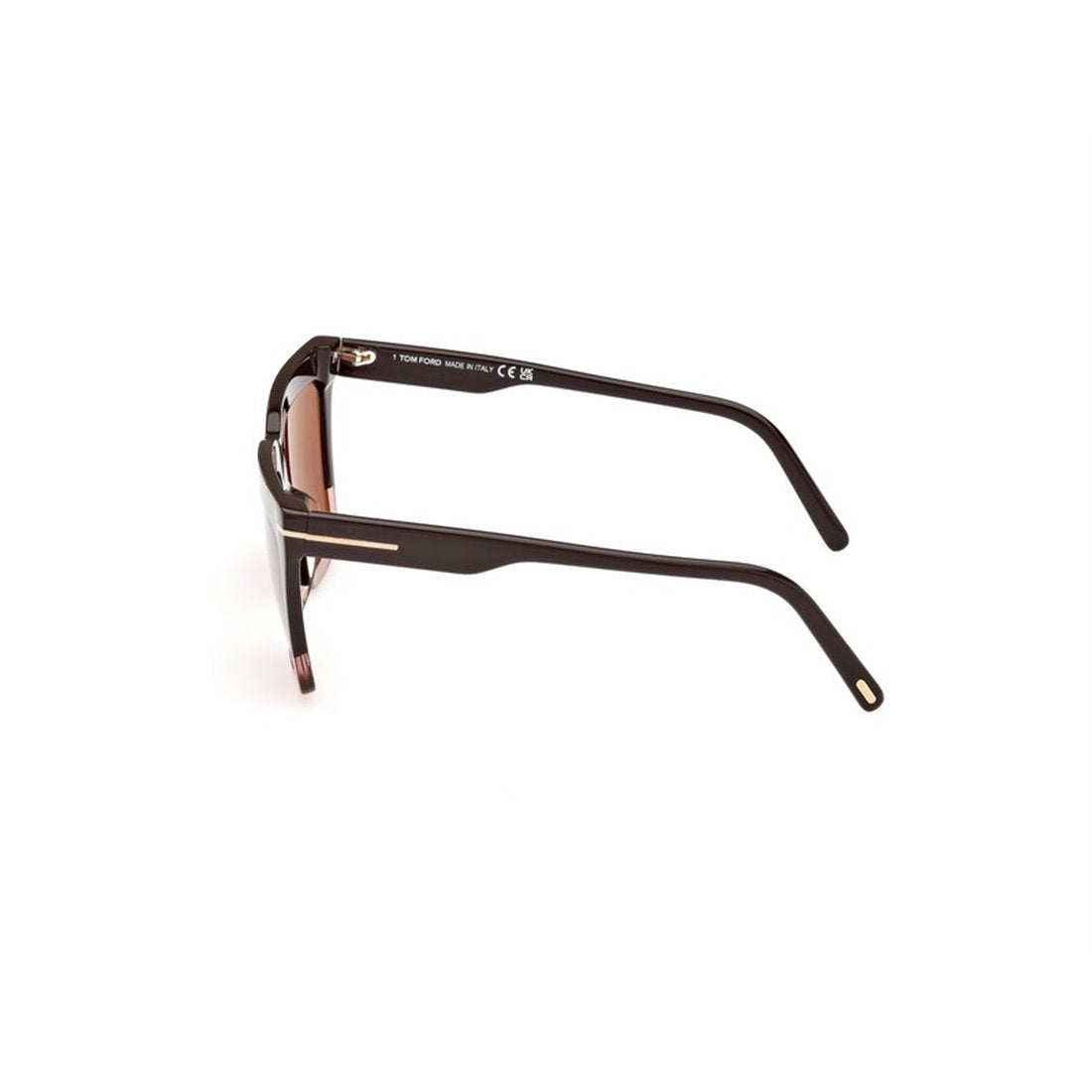 TOM FORD Eden Gradient Sunglasses for Men