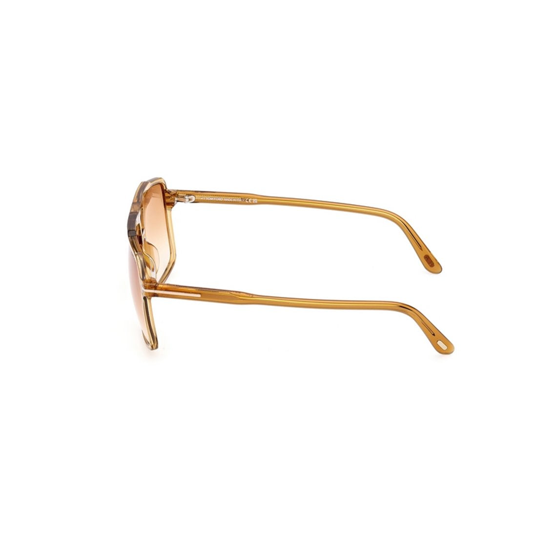 TOM FORD Unisex Gradient Brown Lens Sunglasses