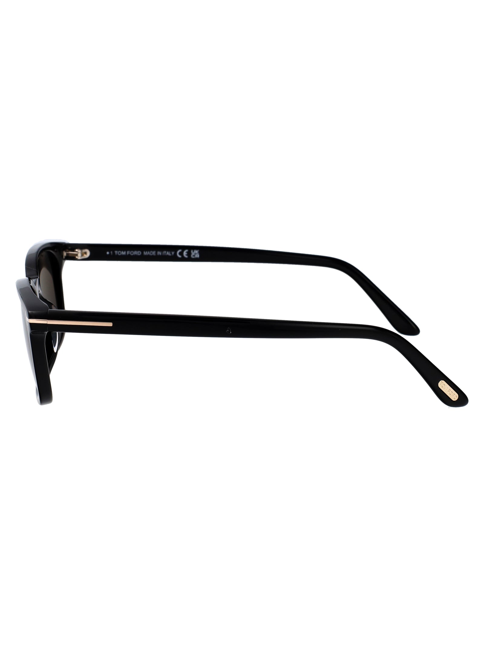 TOM FORD Acetate Sunglasses for Men - FW25 Collection