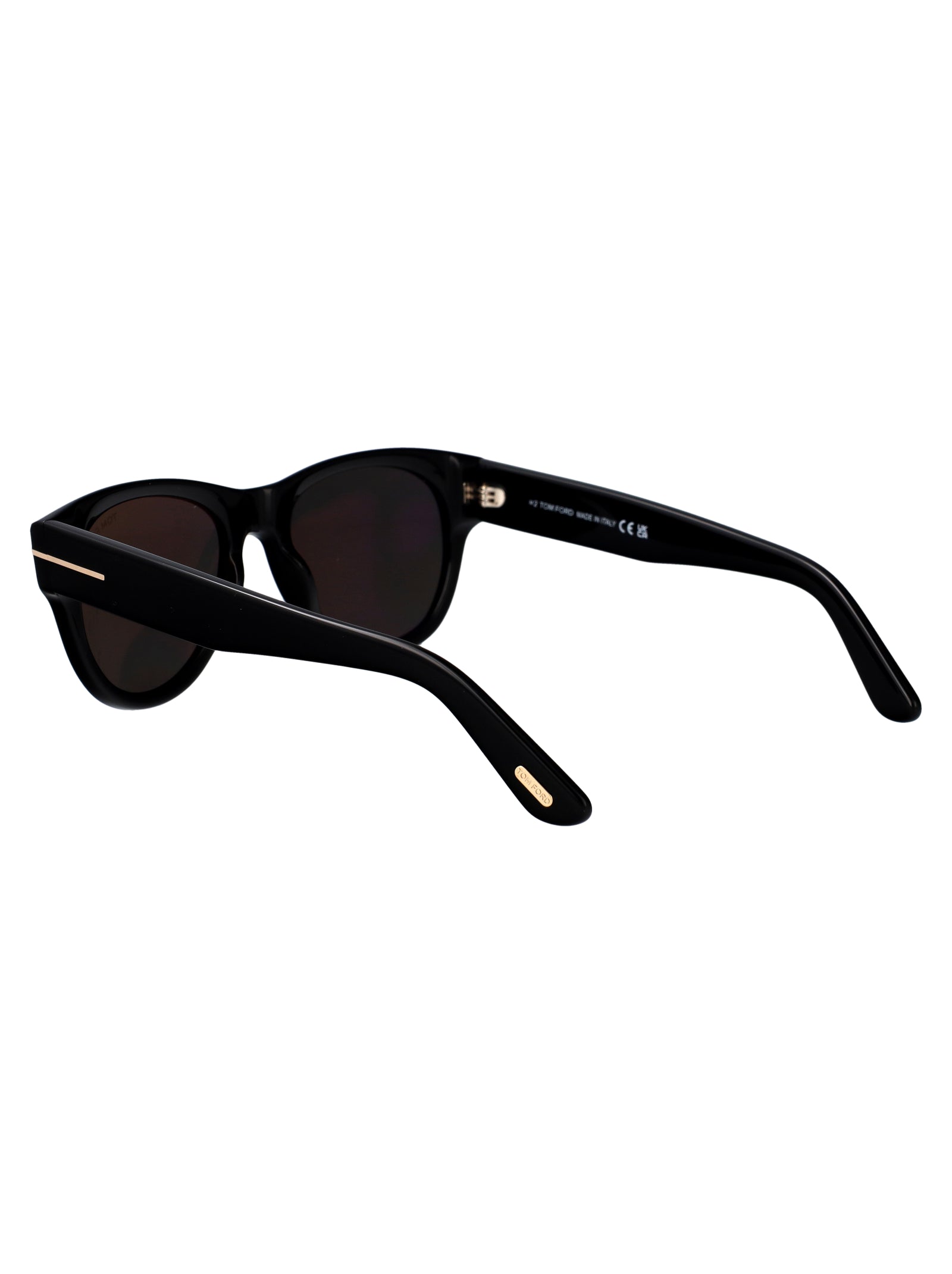 TOM FORD Contemporary Acetate Sunglasses for Men