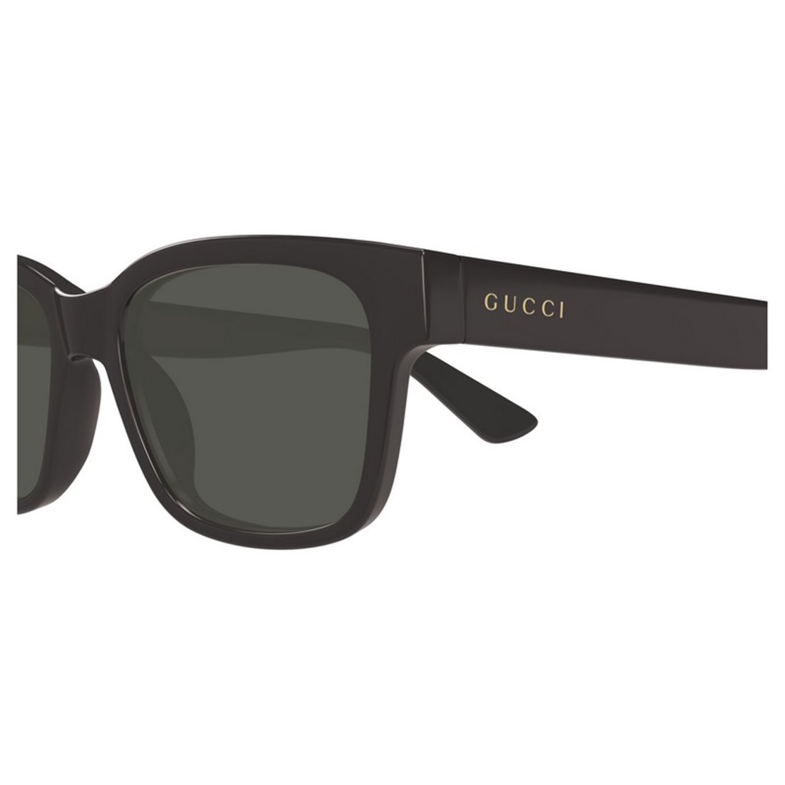 GUCCI Stylish Men's GG1716S Sunglasses
