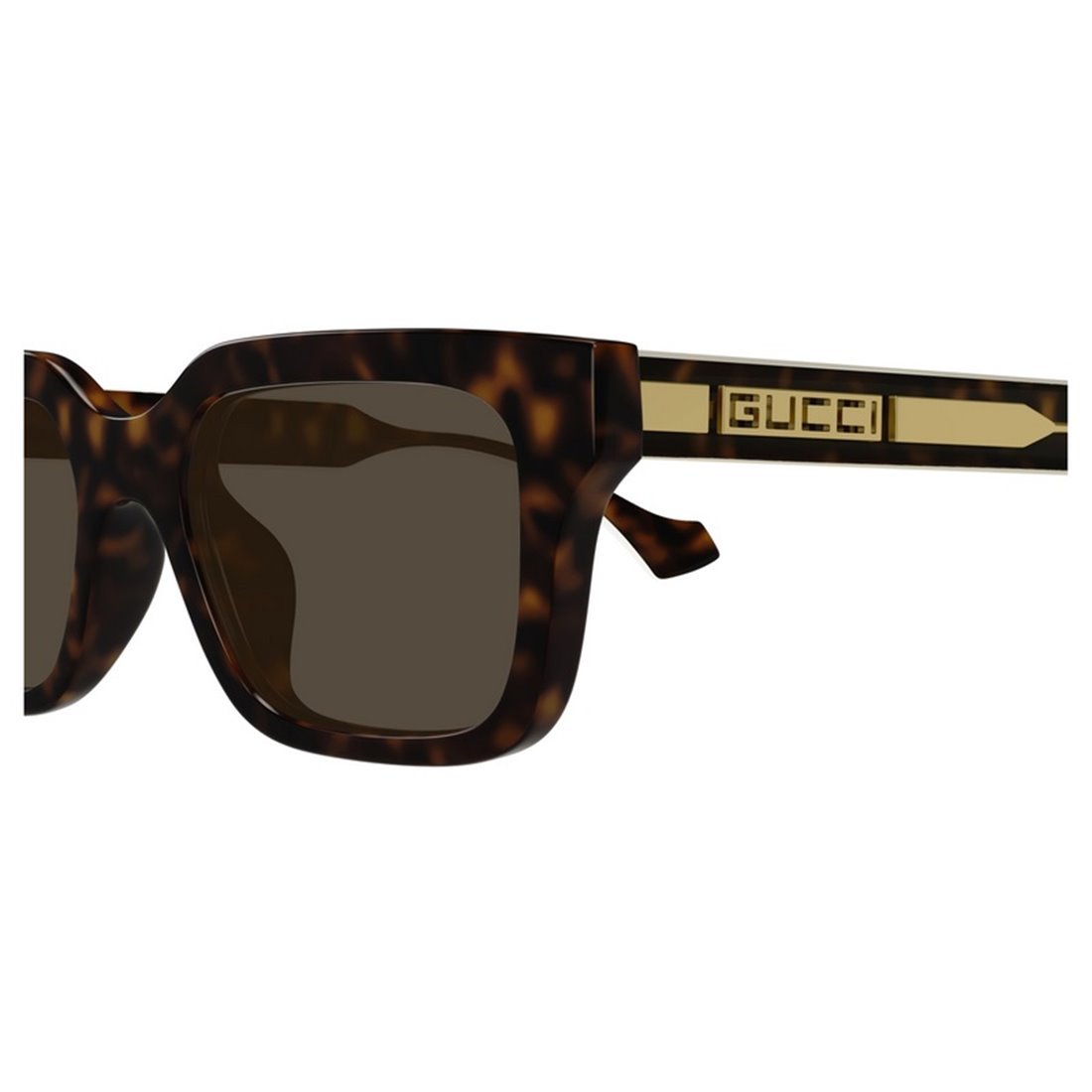 GUCCI Timeless Acetate Sunglasses for Men