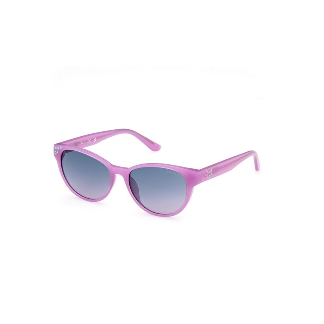 GUESS Classic Gradient Men's Sunglasses