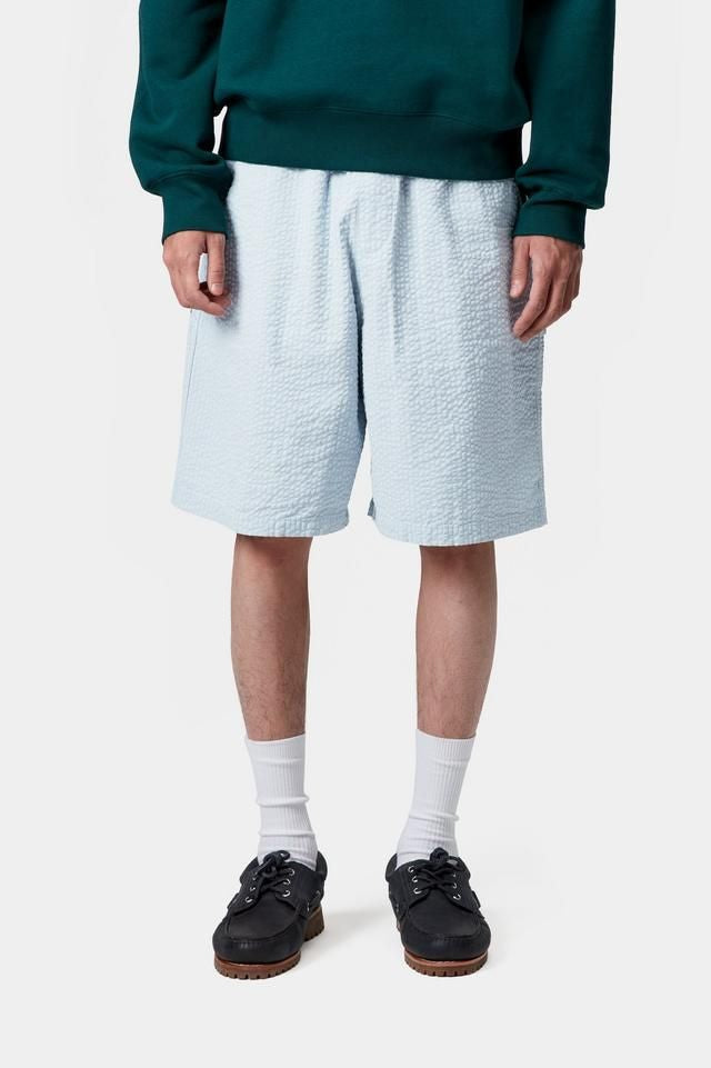 CARHARTT WIP Men's Toland Shorts