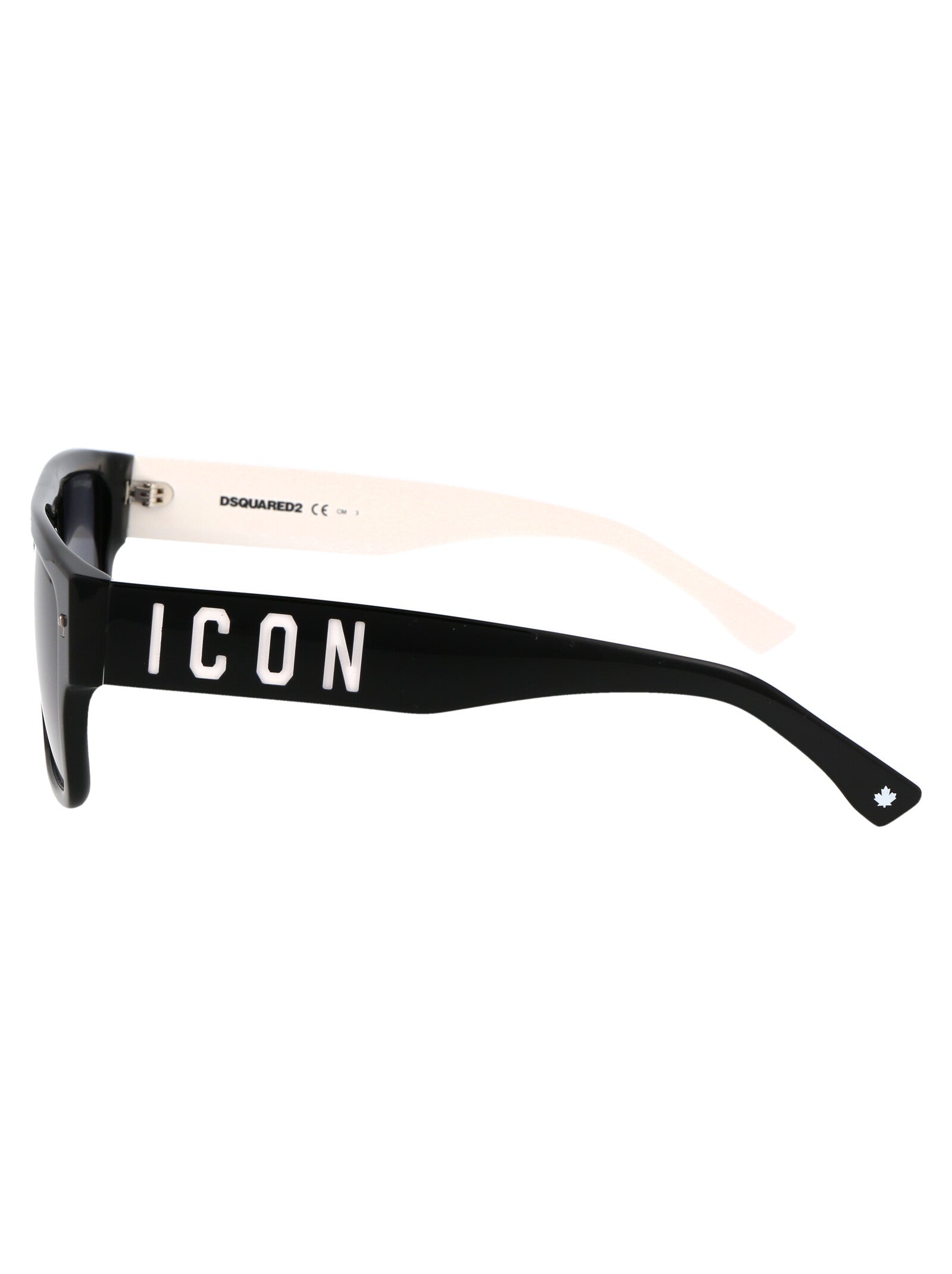 DSQUARED2 Acetate Sunglasses for Men - ICON 0003/S