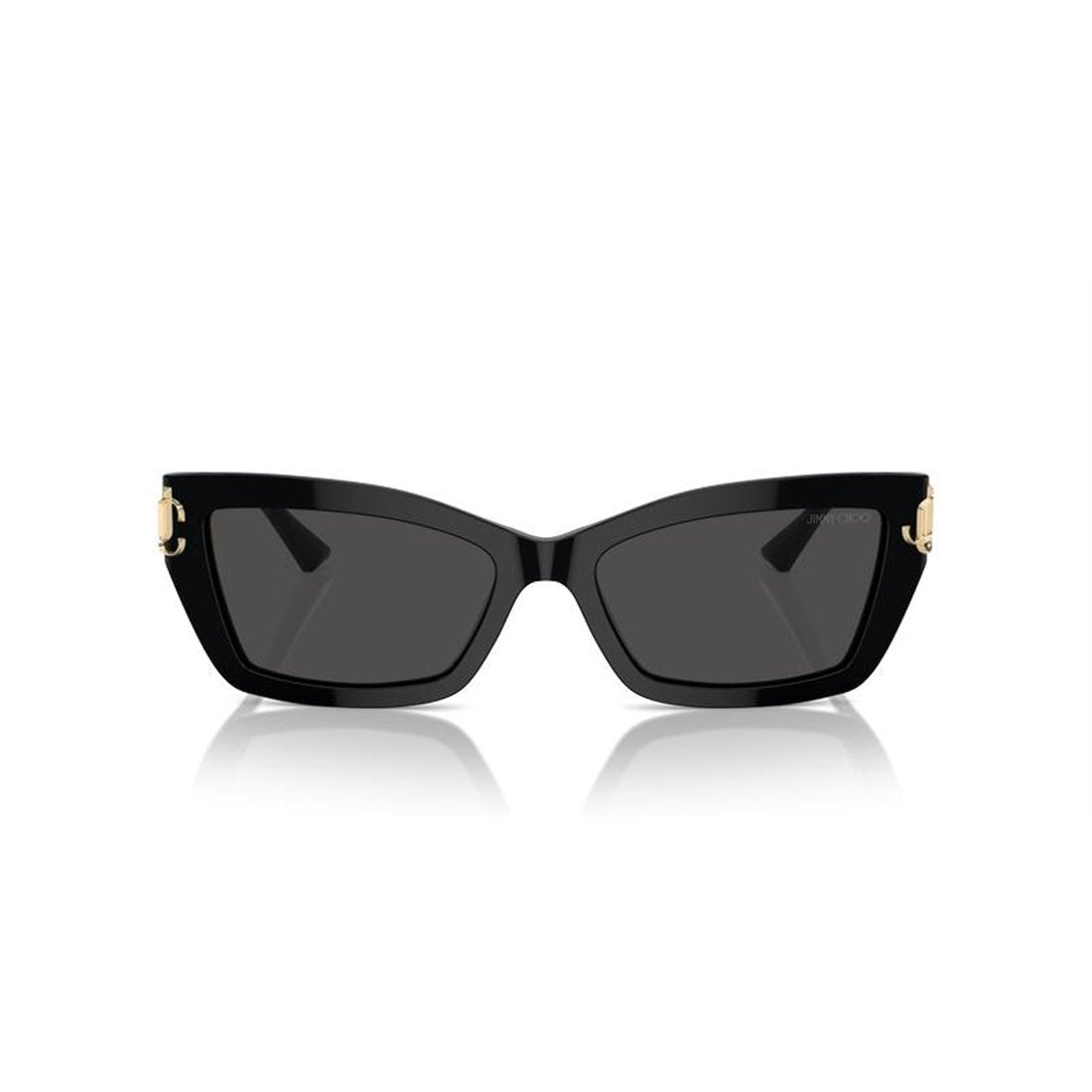 JIMMY CHOO Chic Women's Sunglasses
