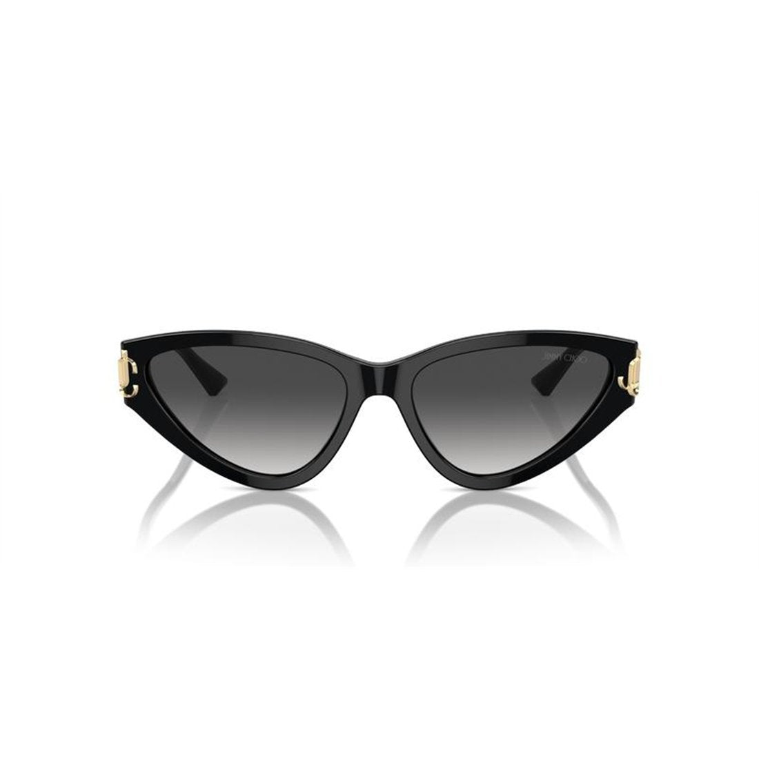 JIMMY CHOO Chic Oversized Fashion Sunglasses