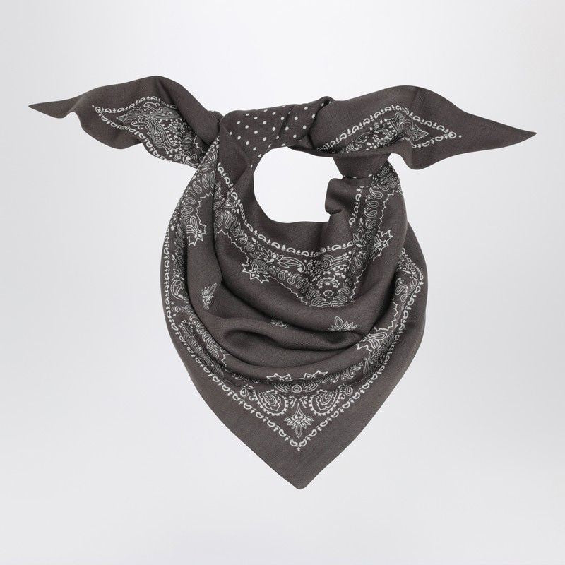 DESTIN Paisley Wool Scarf with Fringed Edges