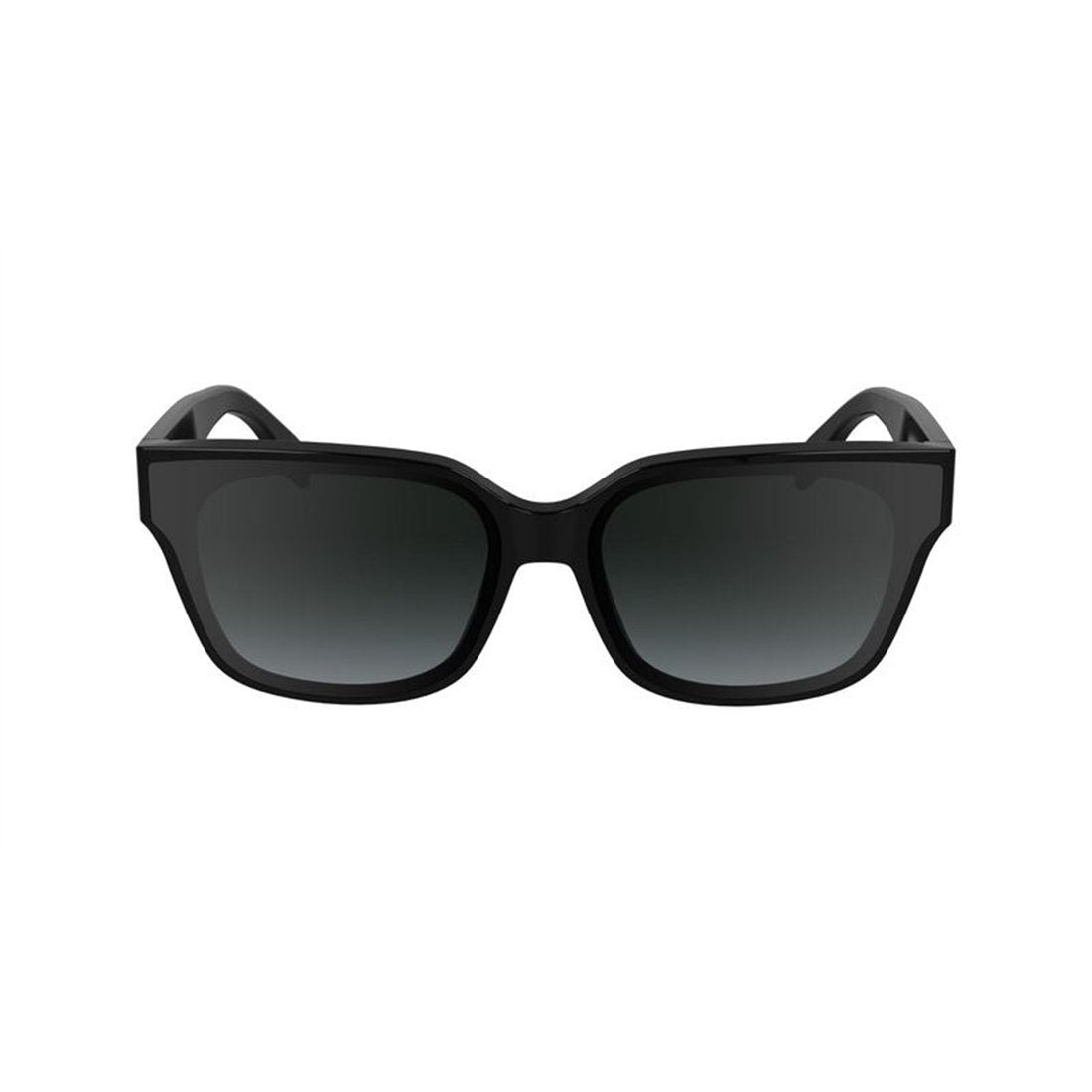 KARL LAGERFELD Chic Women's Sunglasses - KL6161S 001