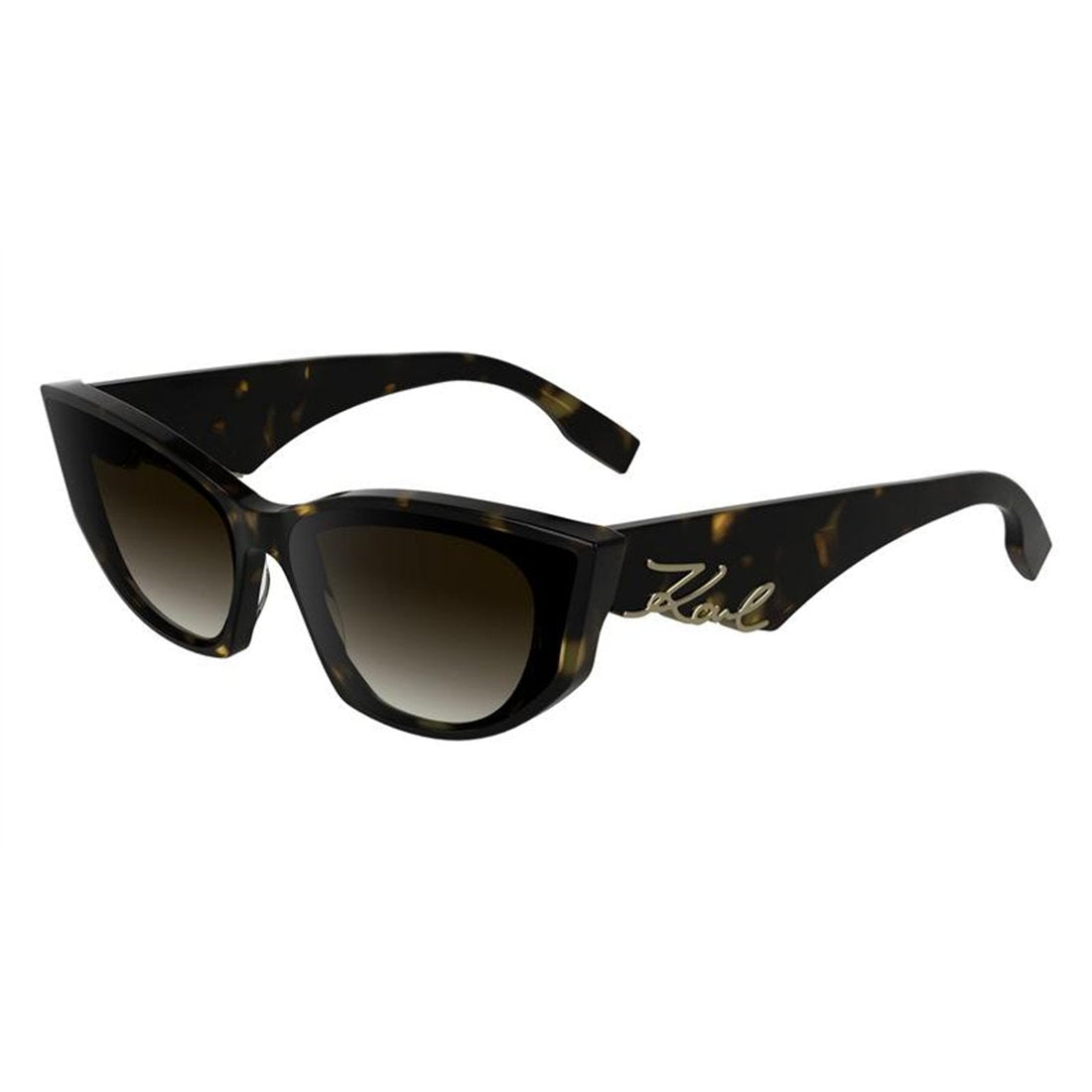 KARL LAGERFELD Stylish Women's Sunglasses - KL6162S