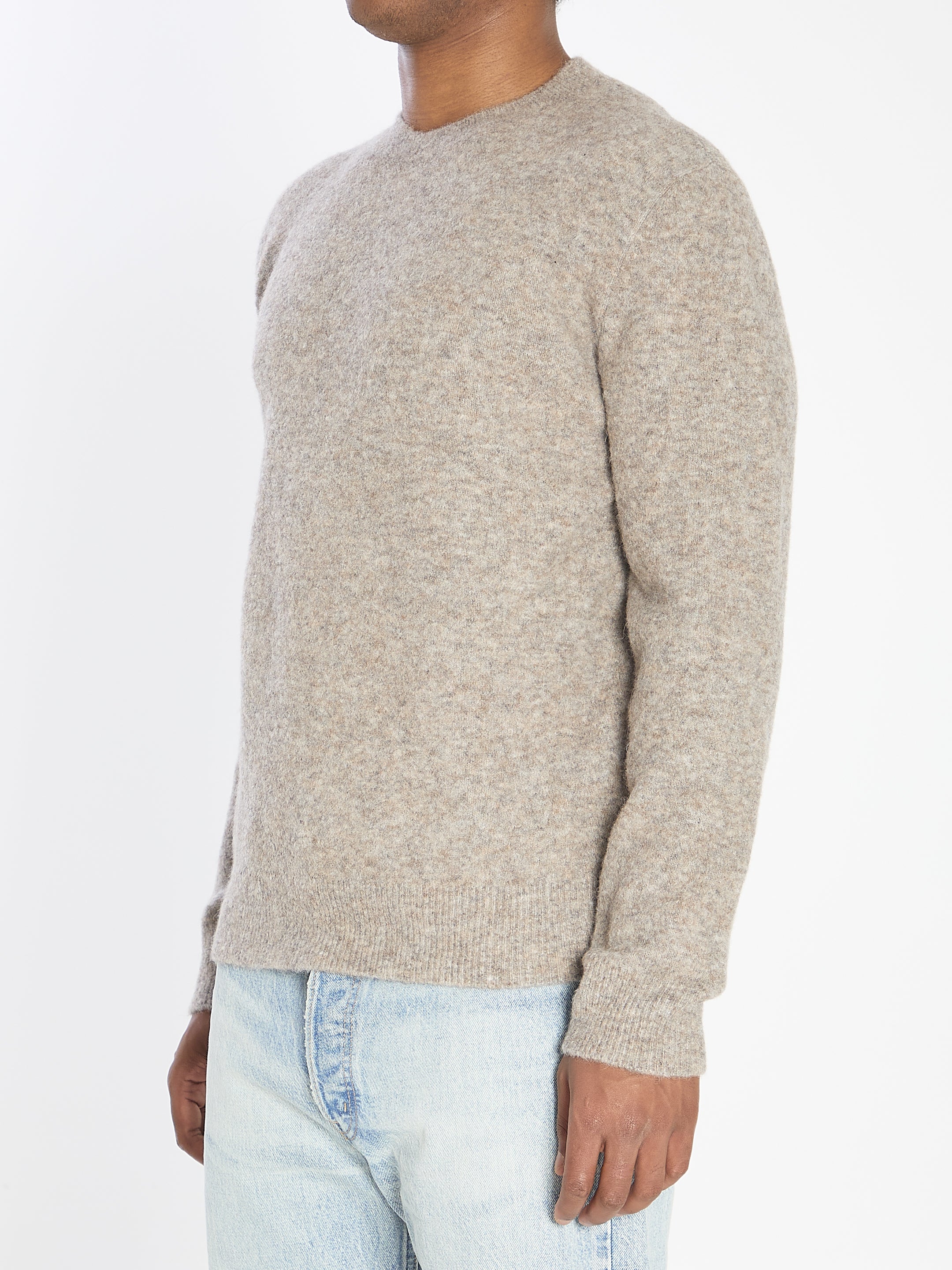 BARENA Regular Fit Crew Neck Sweater