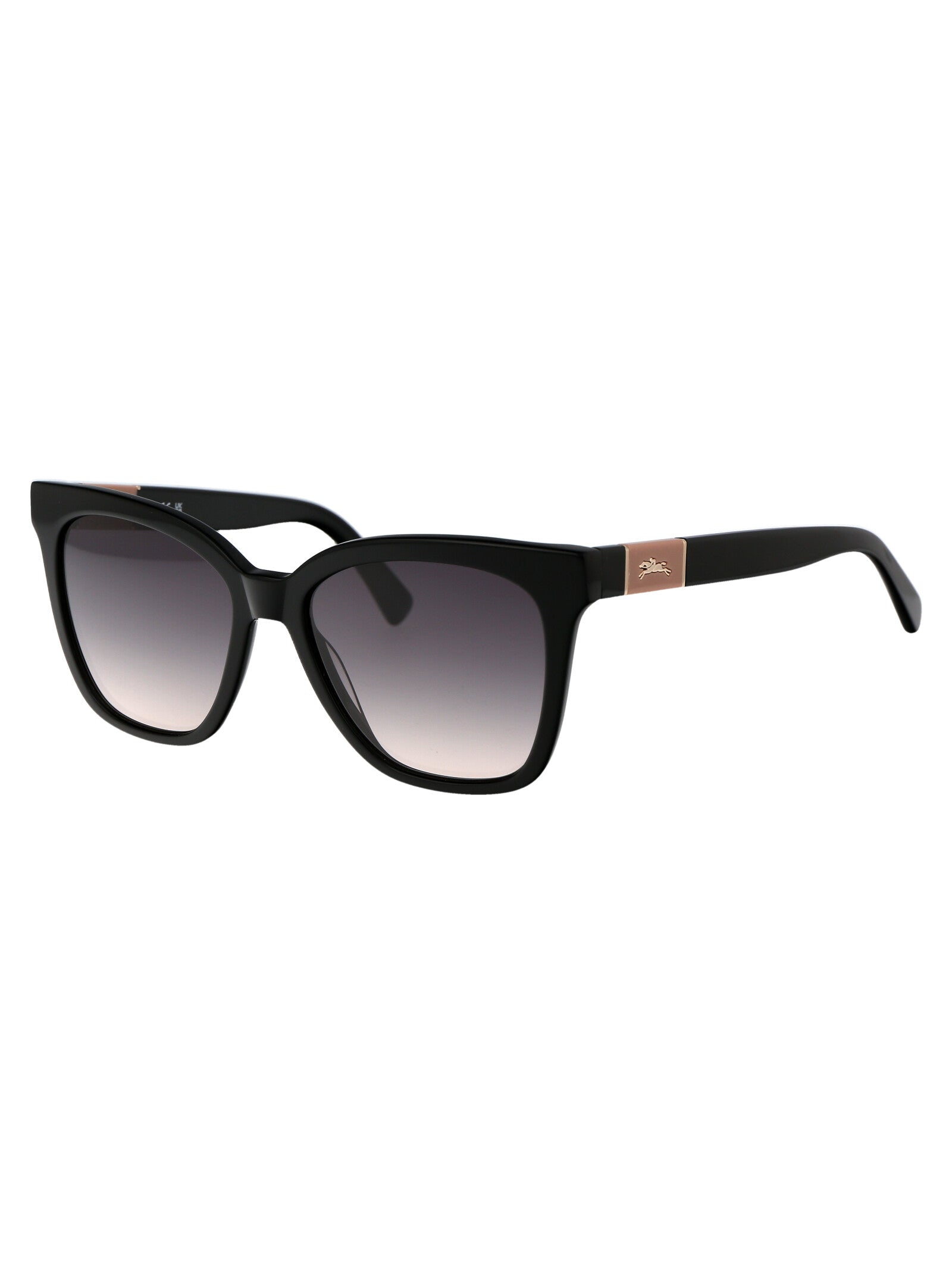 LONGCHAMP Acetate Women's Sunglasses