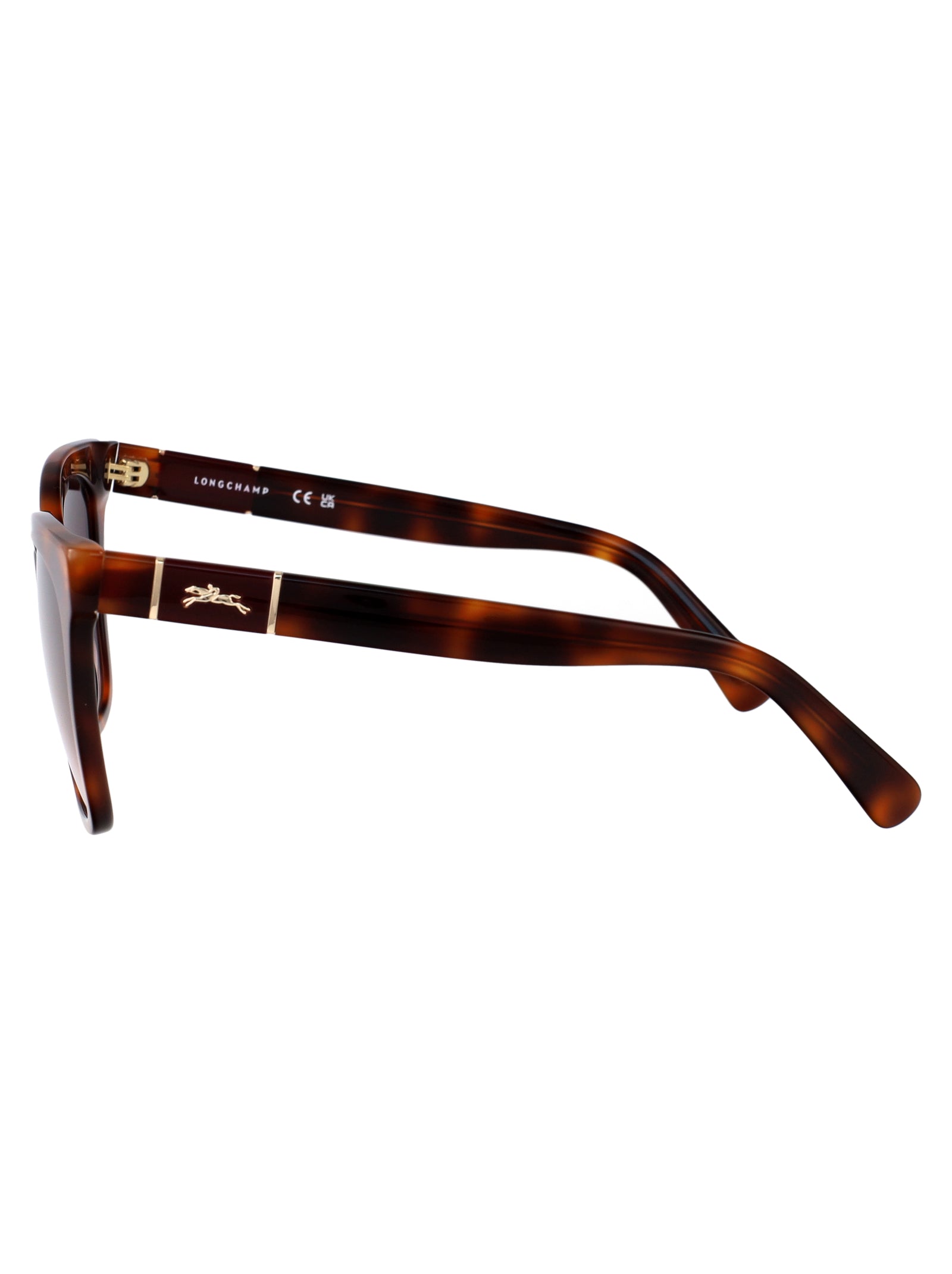 LONGCHAMP Acetate Sunglasses for Women - Summer Style