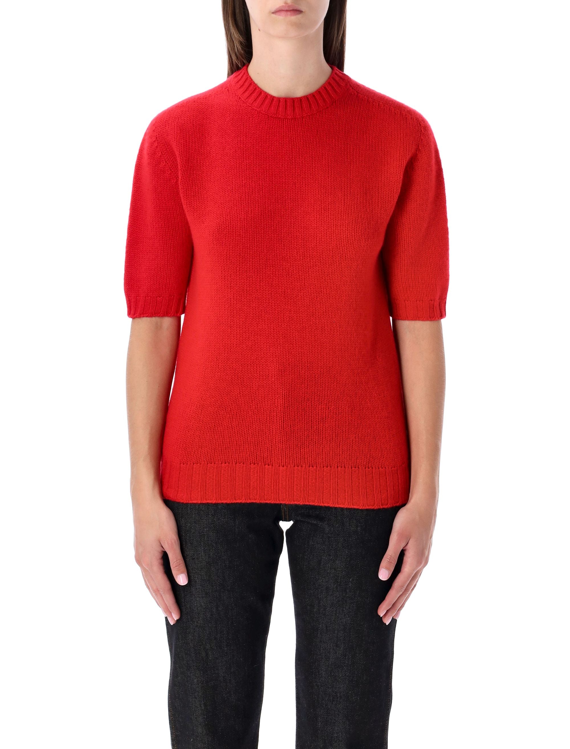 FABIANA FILIPPI Short Sleeve Cashmere Sweater