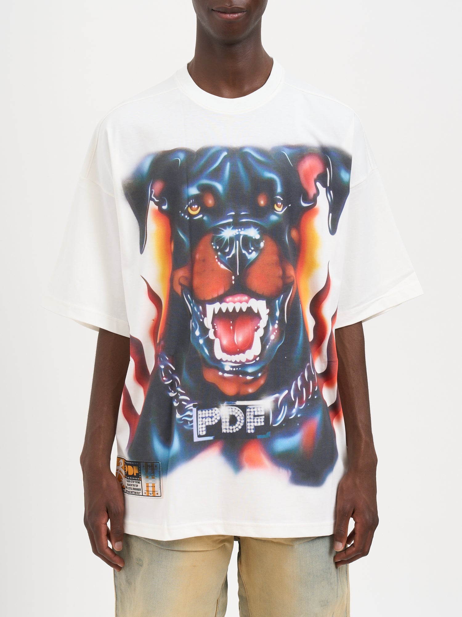 PDF Oversized Crewneck Dog Graphic T-Shirt - Medium