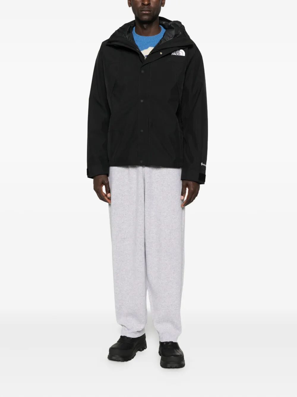 THE NORTH FACE M GTX Mountain Jacket - Unisex