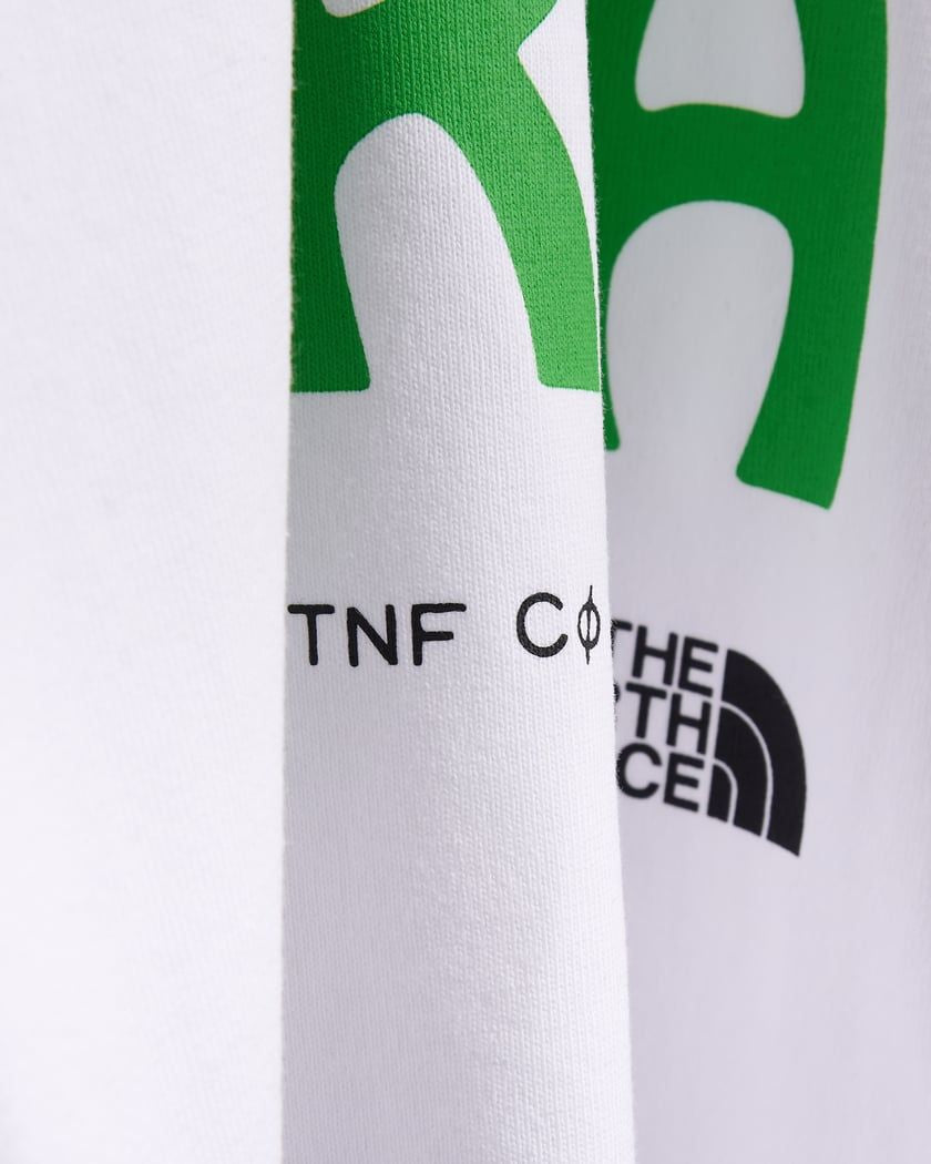 THE NORTH FACE Graphics Short Sleeve Tee for Men