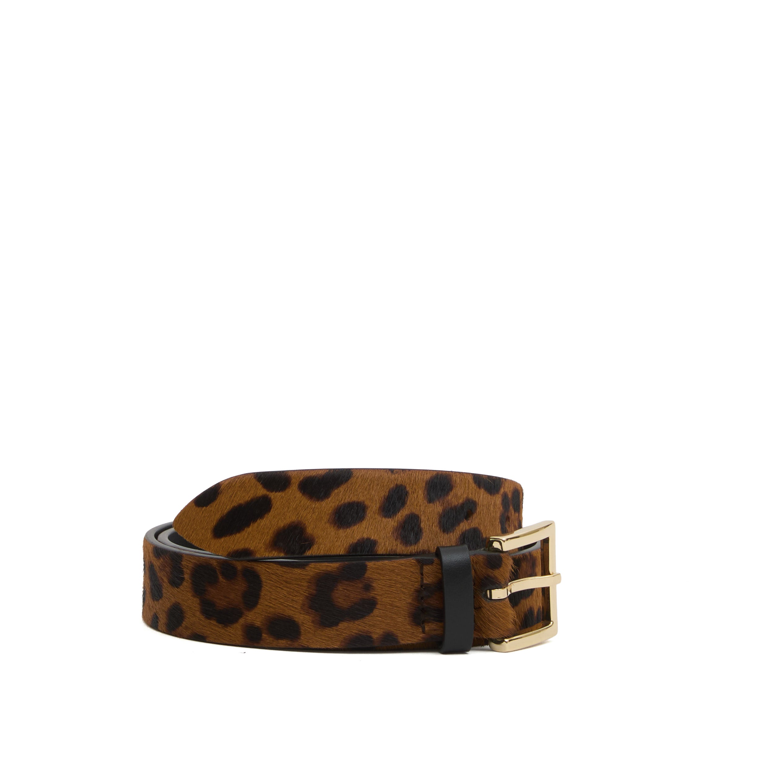 ORCIANI Leopard Print Square Buckle Belt - Women’s Fashion Accessory