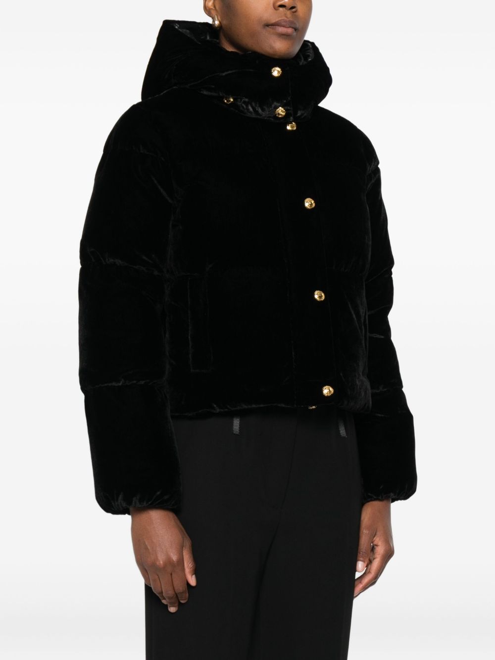 ELISABETTA FRANCHI Cropped Velvet Puffer Jacket with Hood