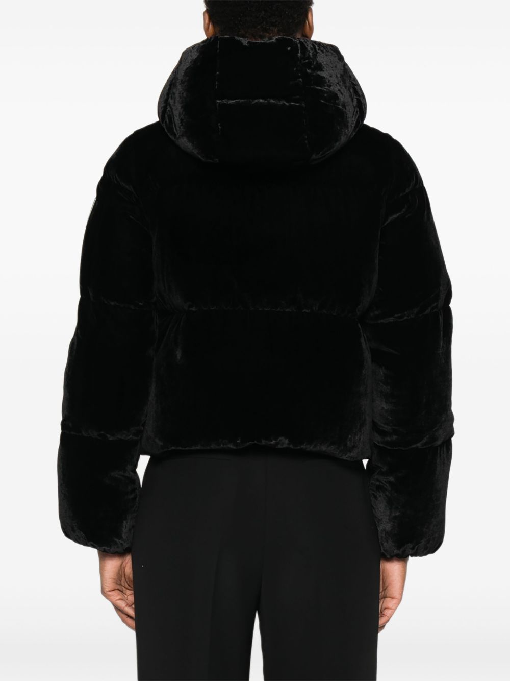 ELISABETTA FRANCHI Cropped Velvet Puffer Jacket with Hood