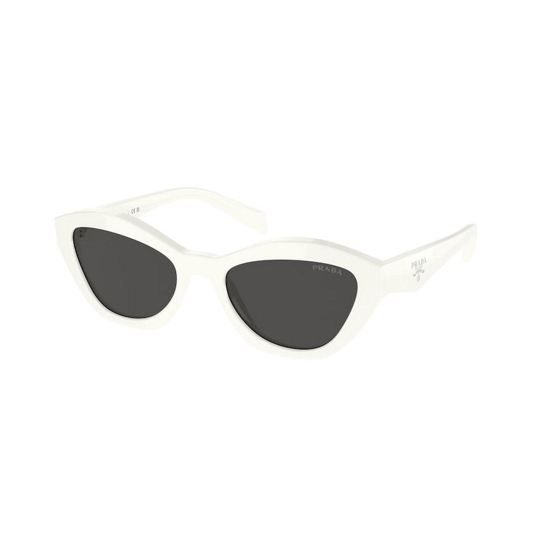 Prada Print Sunglasses A02S 17K08Z