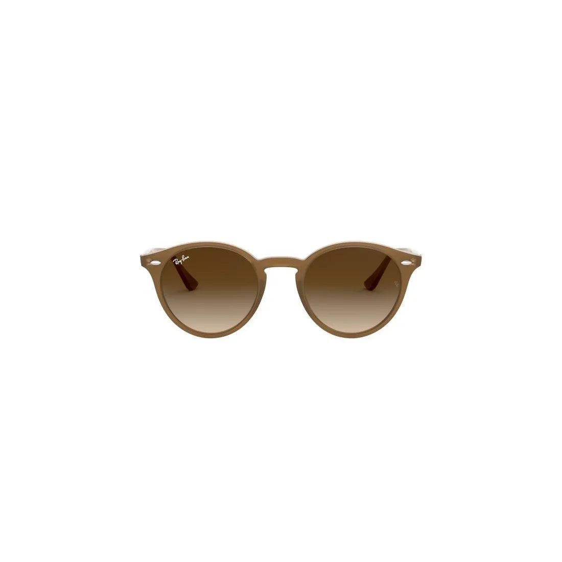 RAY-BAN Timeless Round Frame Sunglasses for Men