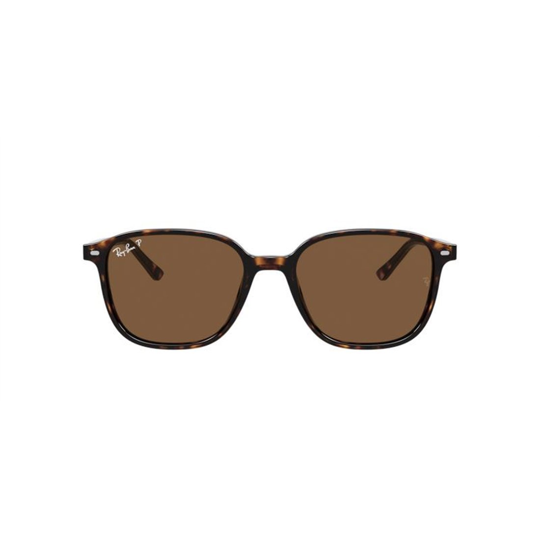 RAY-BAN Leonard Men's Stylish Sunglasses