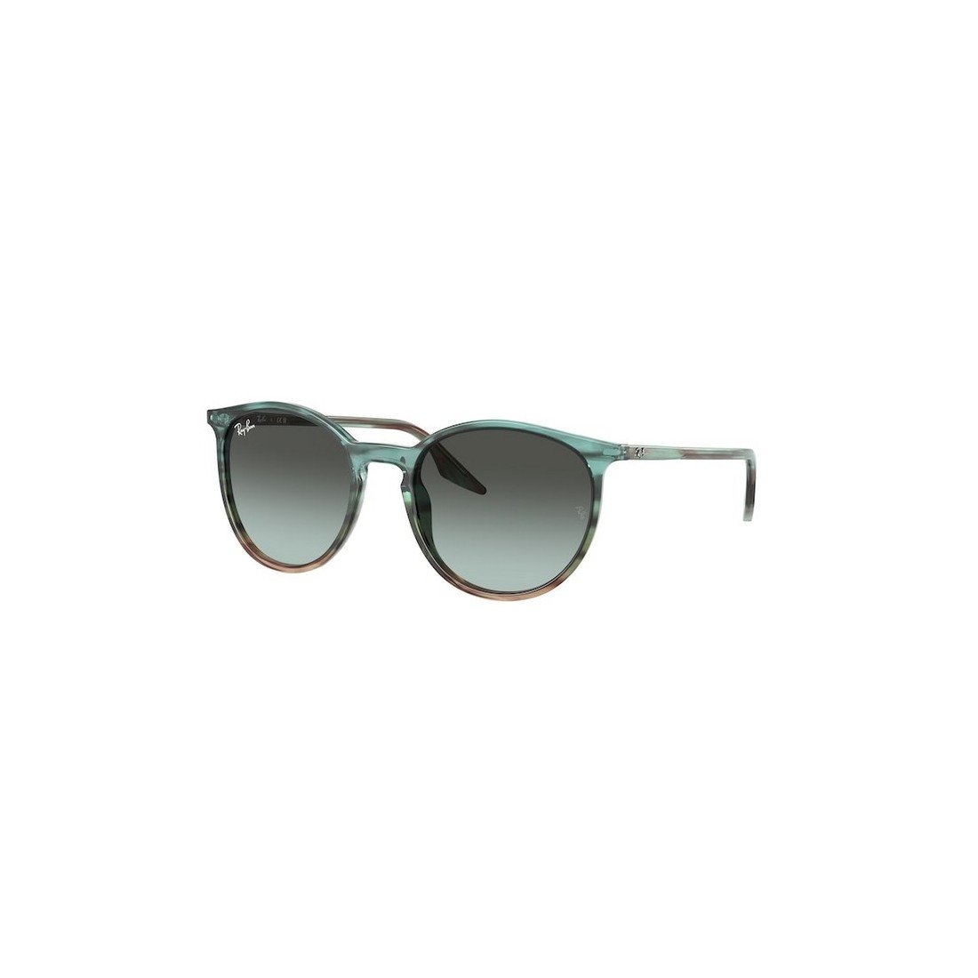 RAY-BAN Men's Classic Acetate Sunglasses