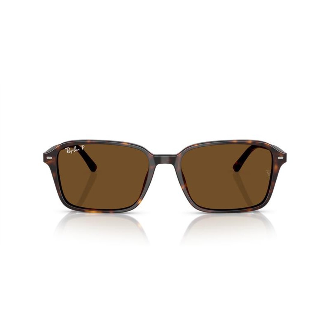 RAY-BAN Timeless Acetate Sunglasses