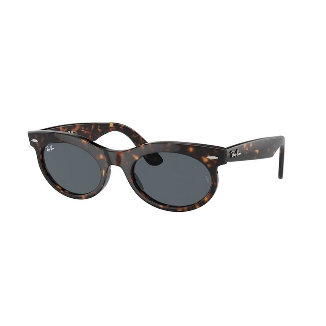 RAY-BAN Classic Wayfarer Oval Sunglasses for Men
