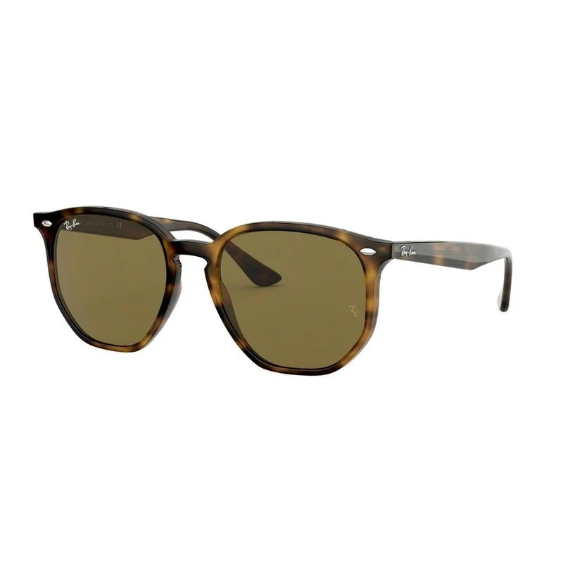 RAY-BAN Stylish RB4306 Men's Sunglasses