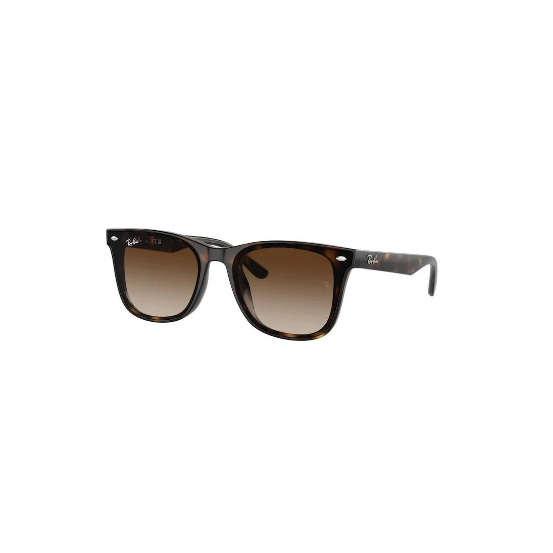 RAY-BAN Timeless Acetate Sunglasses for All