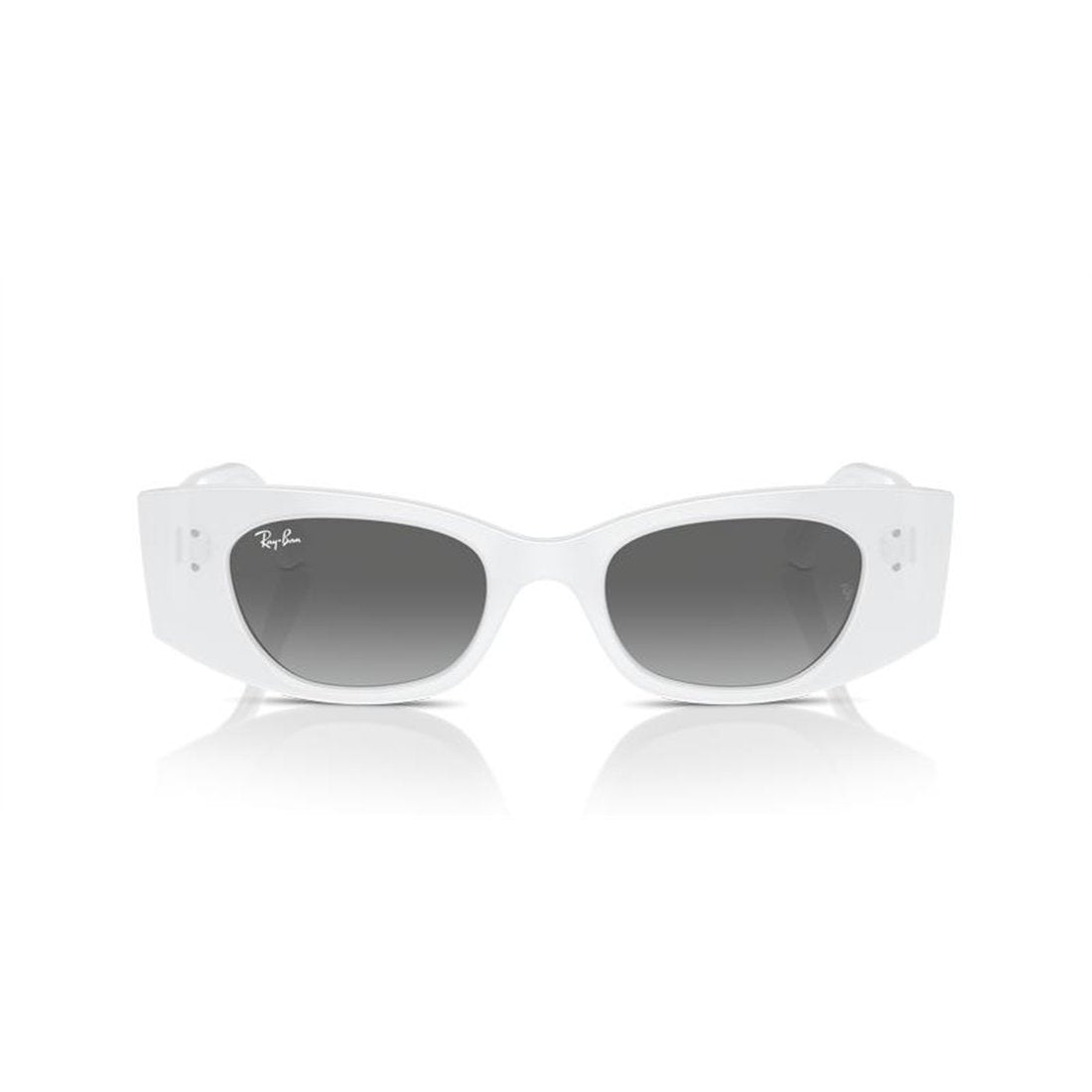 RAY-BAN Sleek Mini Retro Sunglasses for Men