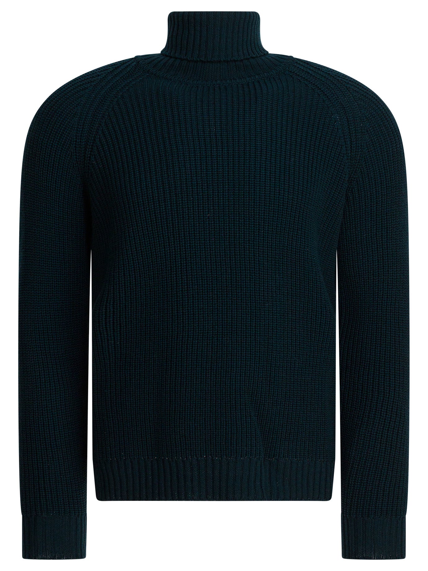 RAKKI Regular Fit Turtleneck Sweater for Men