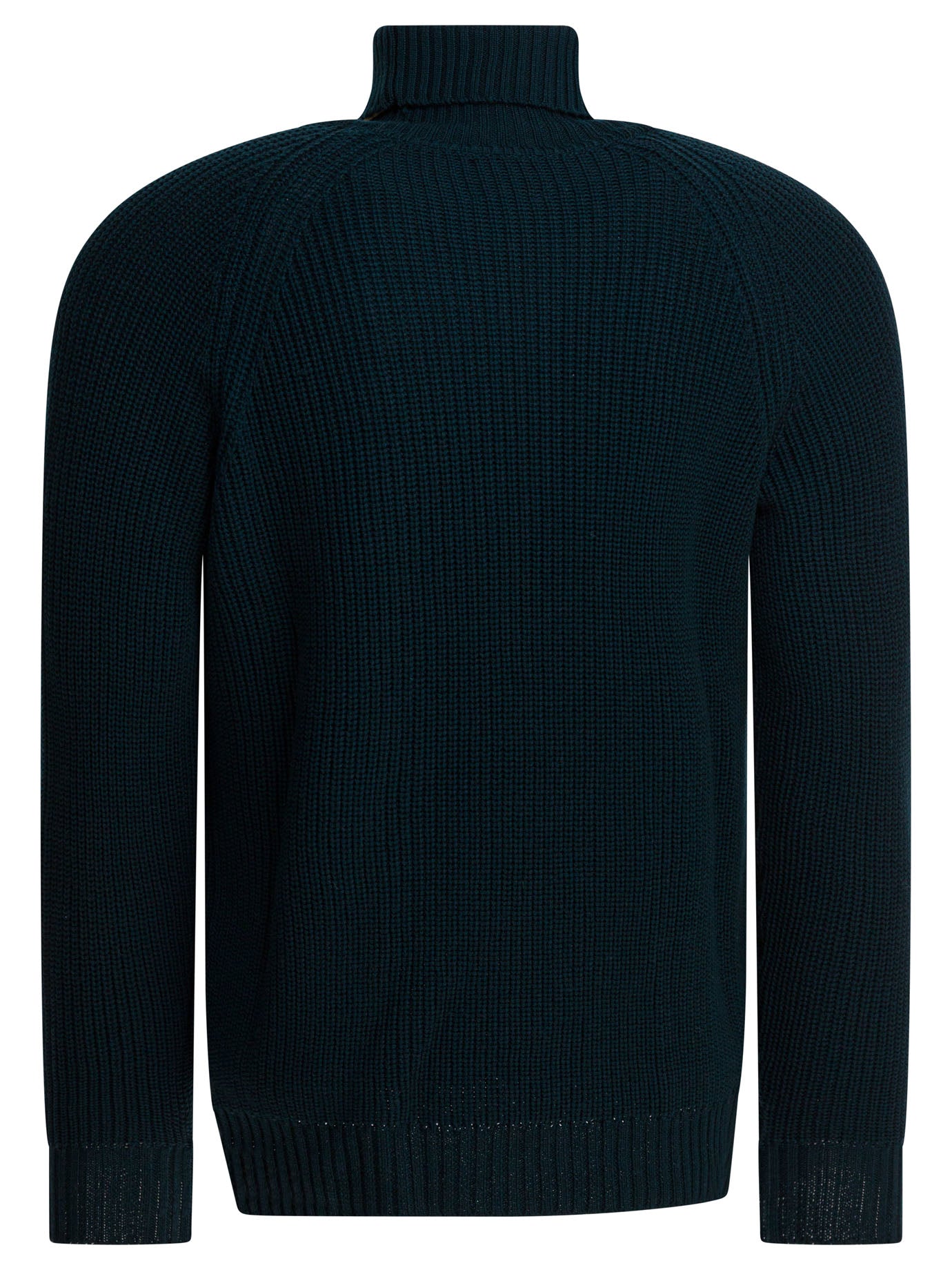 RAKKI Regular Fit Turtleneck Sweater for Men