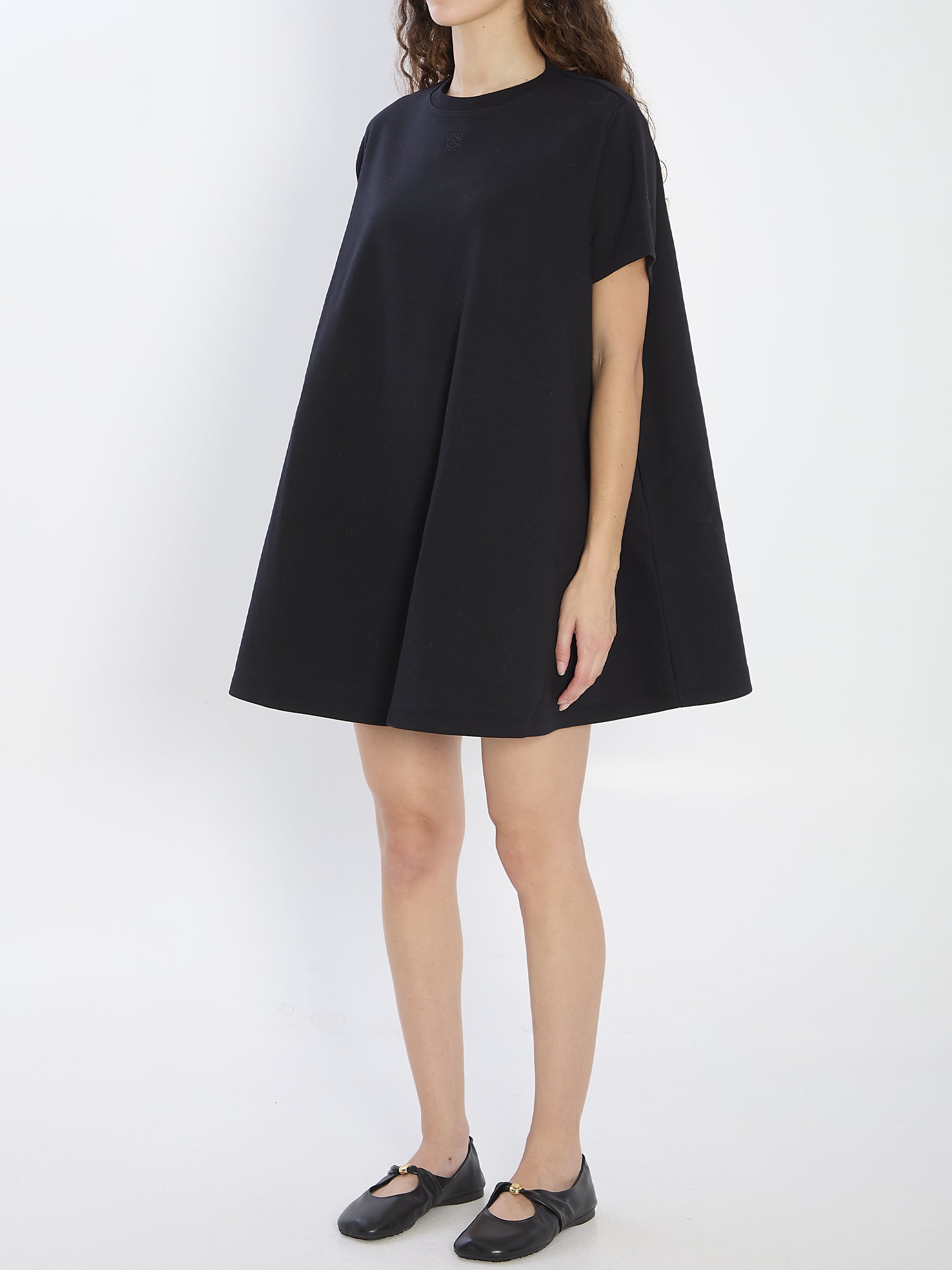 LOEWE A-Line Mini Dress with Embroidered Detail