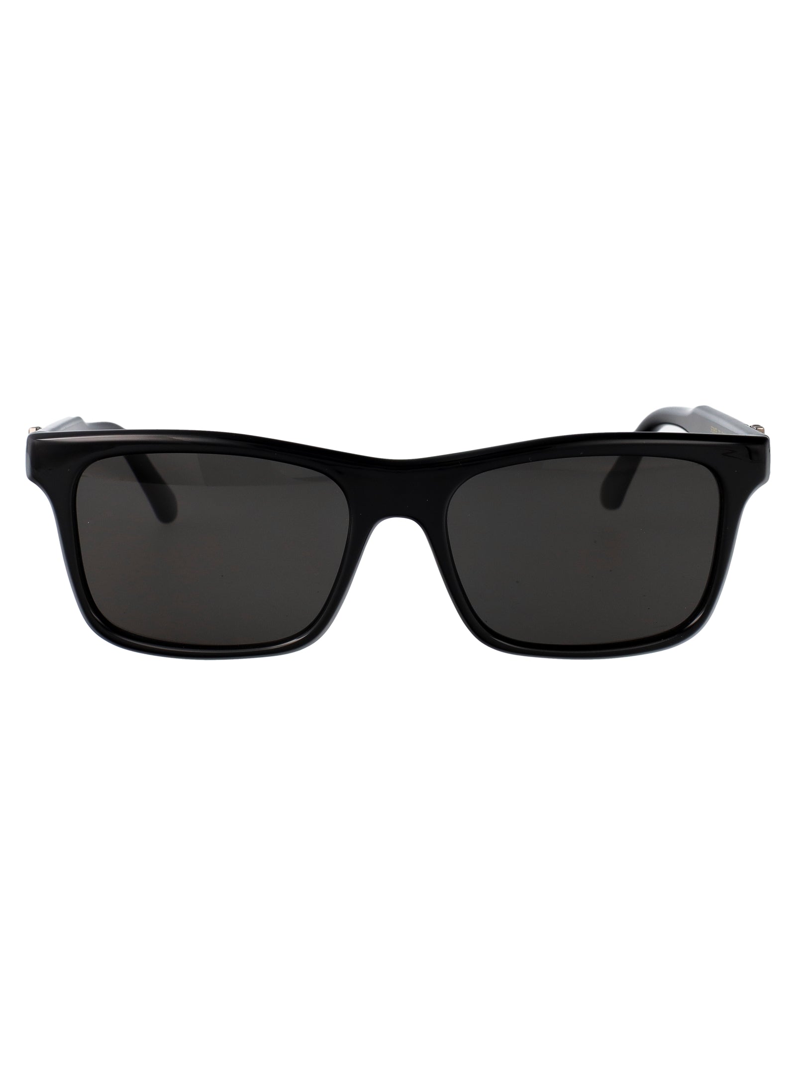 Ferragamo Classic Acetate Sunglasses for Men