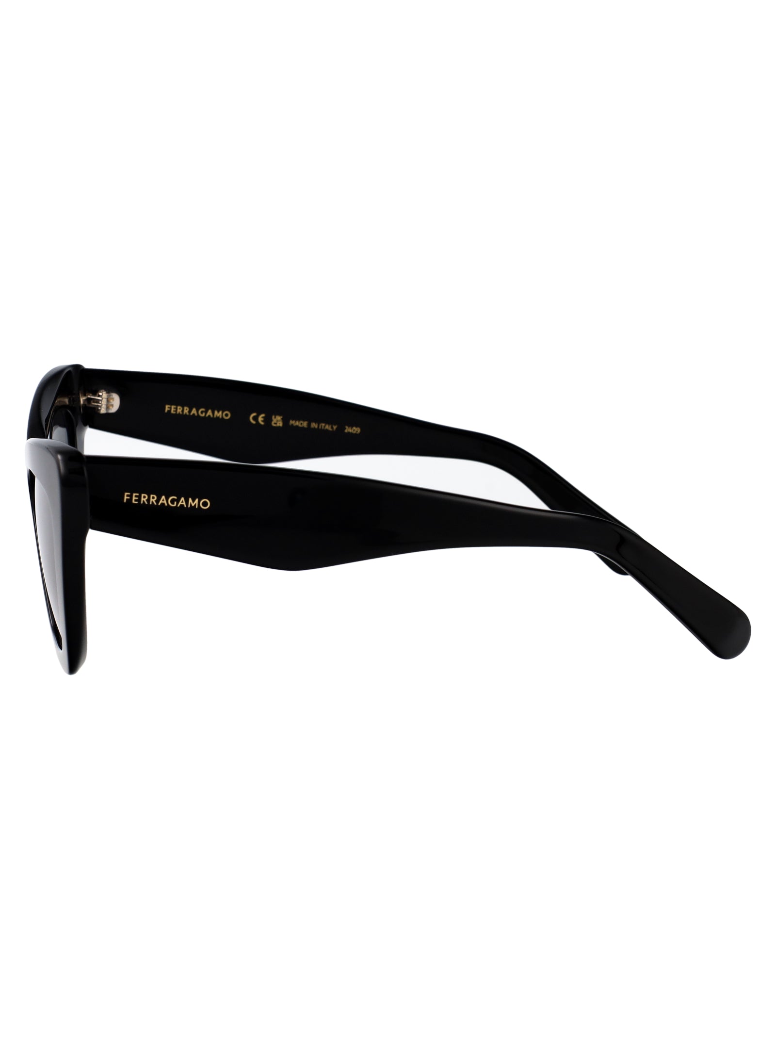 Ferragamo Chic Acetate Sunglasses for Women - SF929SN