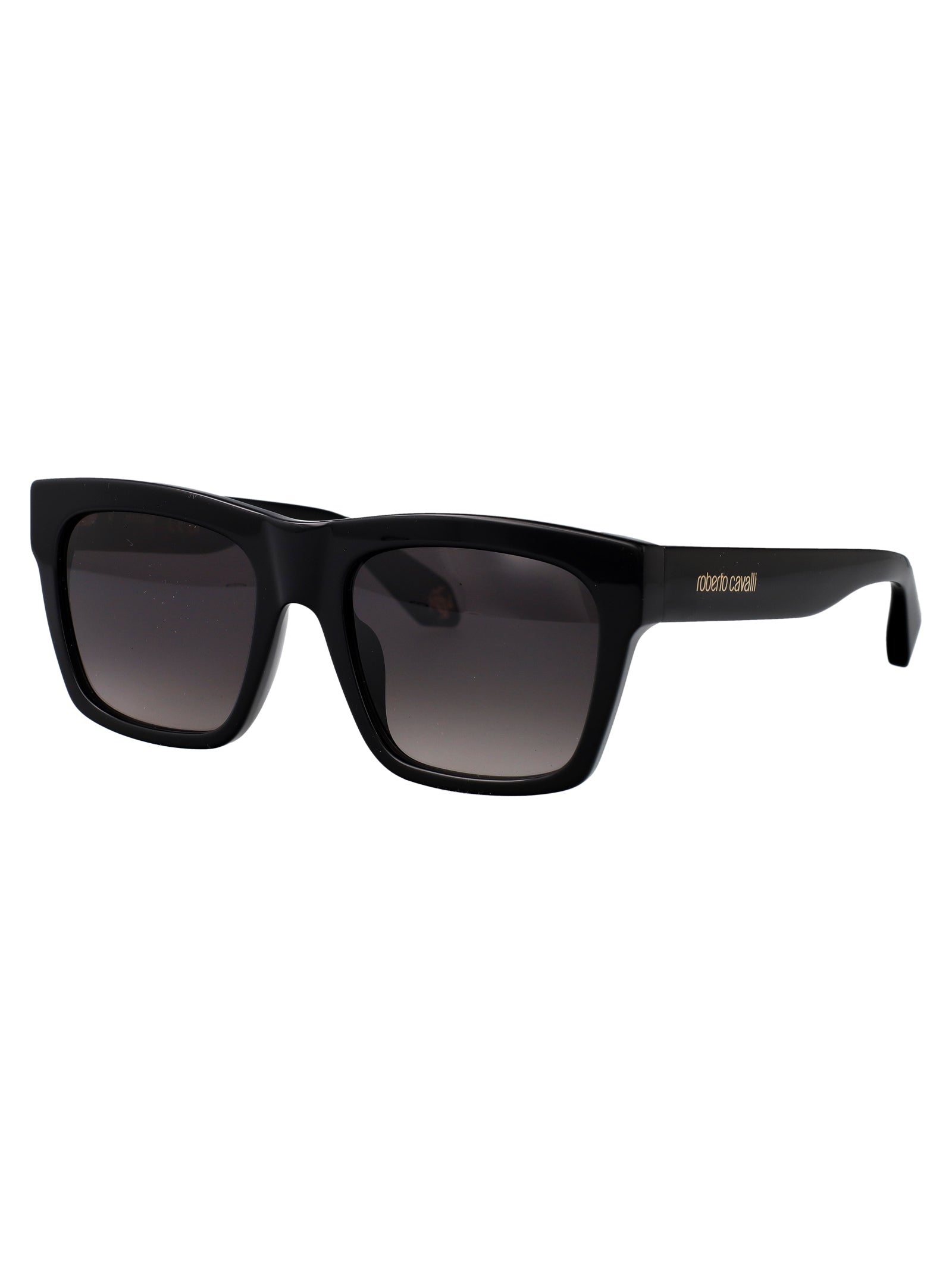 ROBERTO CAVALLI Chic Acetate Sunglasses - Unisex