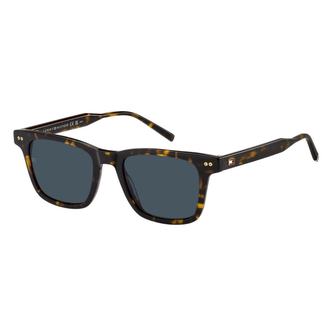 TOMMY HILFIGER Classic Acetate Sunglasses for Men