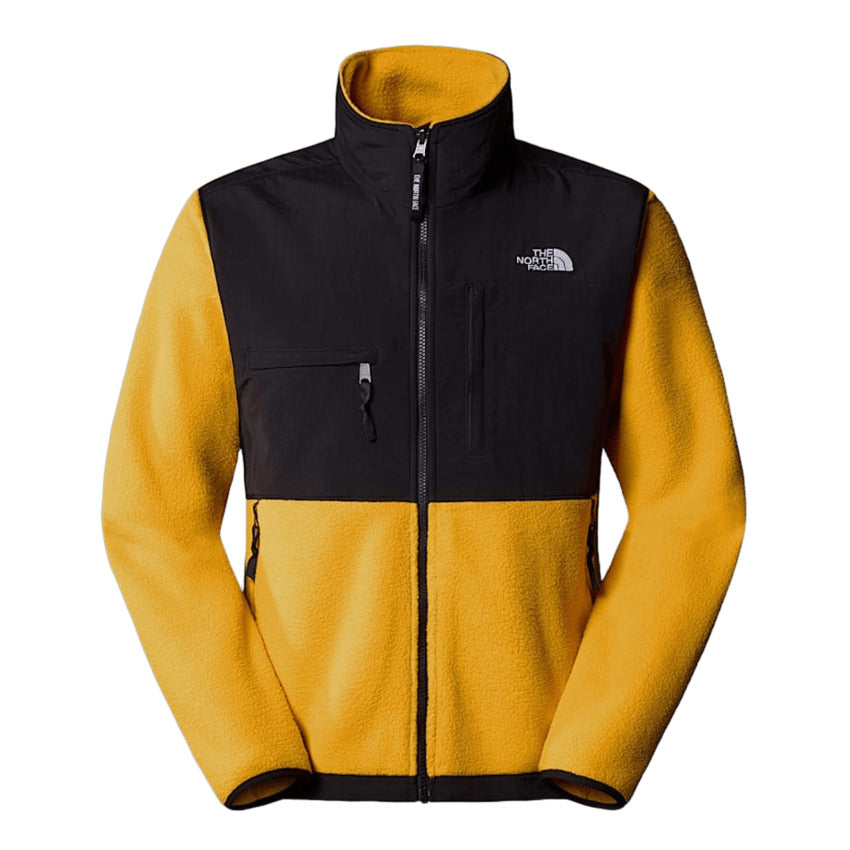 THE NORTH FACE Vintage Block Design Denali Jacket for Men