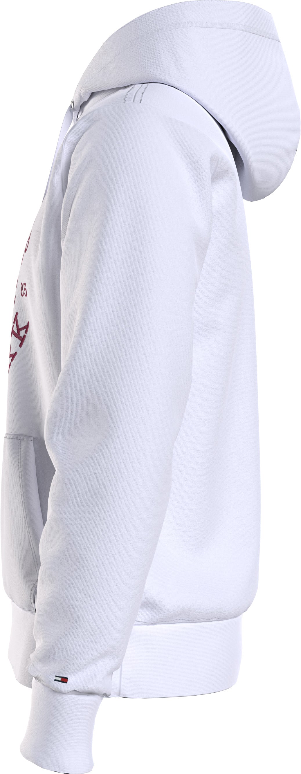 TOMMY HILFIGER Classic Hoodie for Men