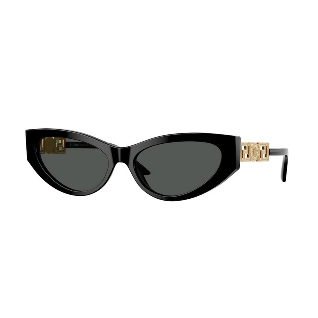 VERSACE Stylish Oversized Sunglasses for Women
