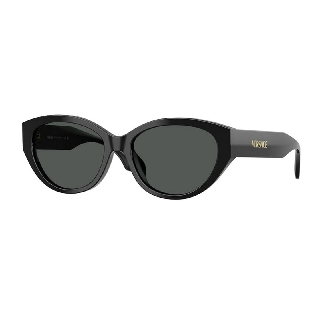 VERSACE Chic Women's Acetate Sunglasses